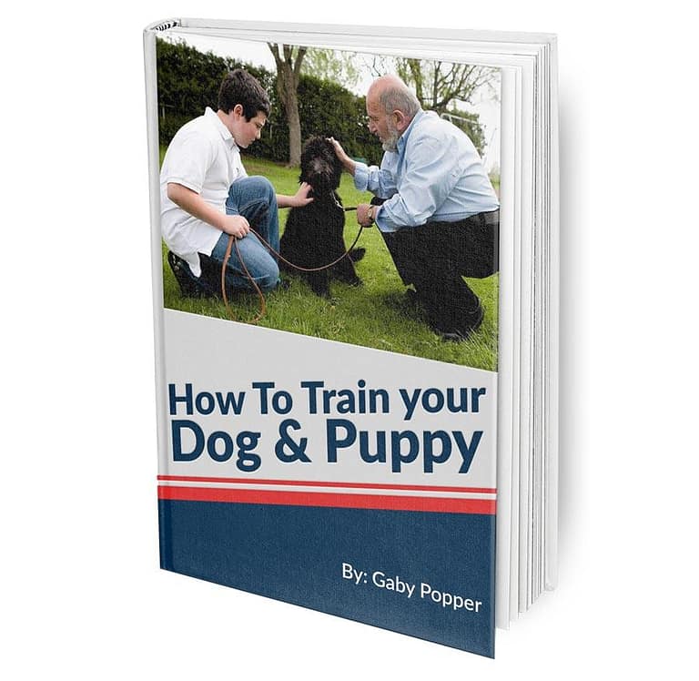 How To Train Your Dog & Puppy